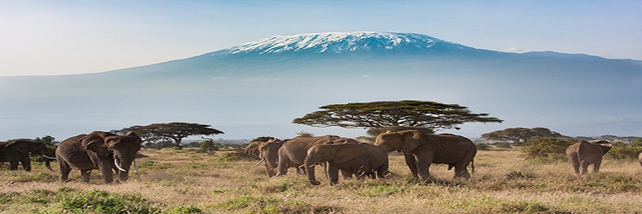 Kenya Tanzania safari packages cost, mountain kenya hiking itinerary 2022-2023